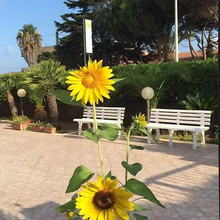 Fiori Gialli Caucana