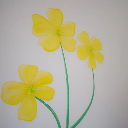 Frühstückspension Fiori Gialli Caucana